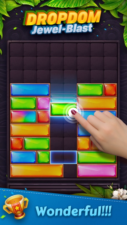 Dropdom™ Puzzle Block Jewel