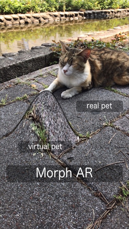 Morph AR screenshot-0