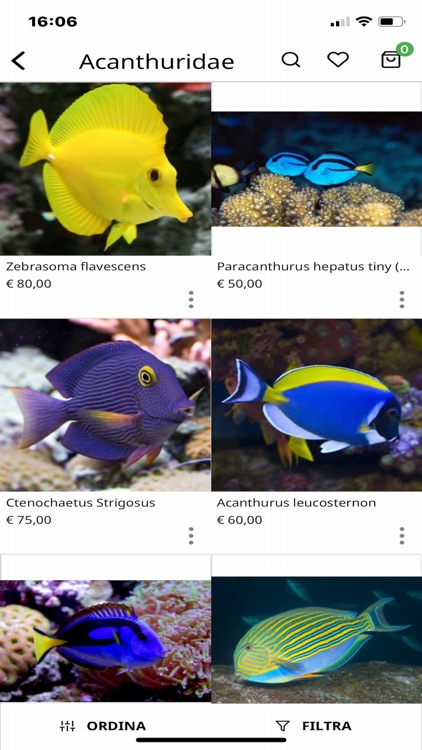 FIsh&Corals screenshot-4