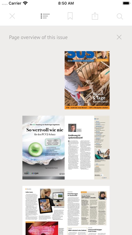 Schweinezucht und Schweinemast screenshot-3
