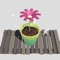 Do you love to grow plants and want your plants to live long