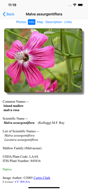 SF Bay Area Wildflowers(圖3)-速報App