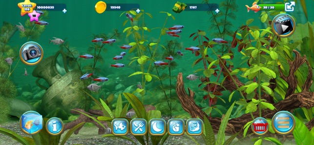 Featured image of post Fisch Spiele Aquarium Kopiere den text mit strg c und f ge ihn dann in deinen