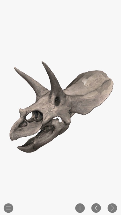 World of Dinosaurs screenshot-4