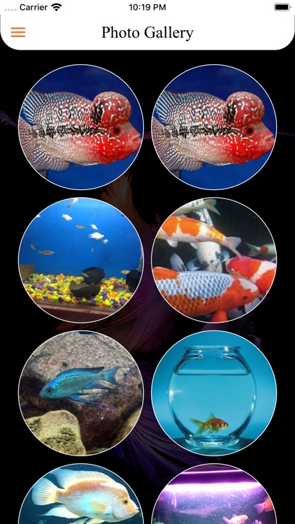 Mira-Bhayandar Aquariums screenshot-7