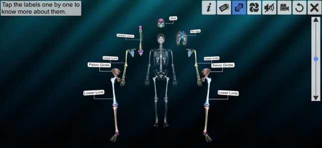 Our Bony Scaffold(圖4)-速報App