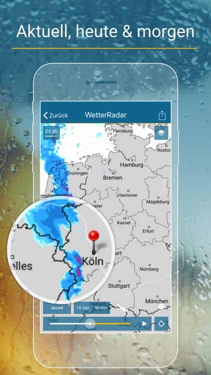 RegenRadar Pro
