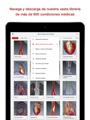 Captura de Pantalla 2 BioDigital Human - Anatomía 3D iphone