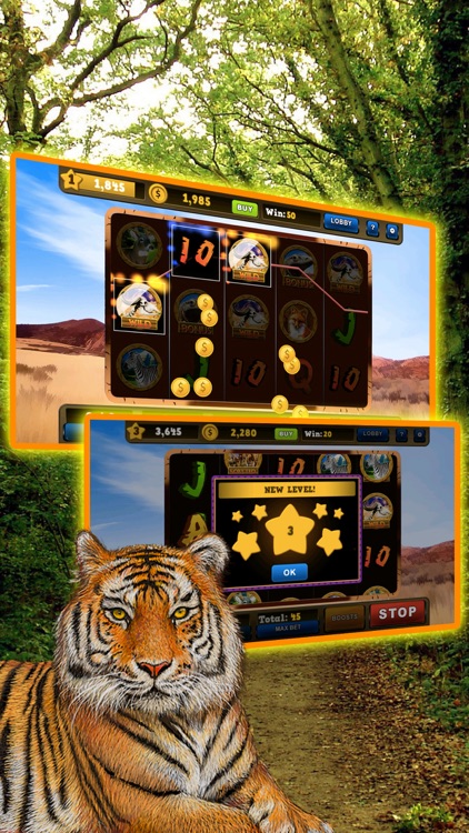 Wild Tiger Slots Machine Games screenshot-4