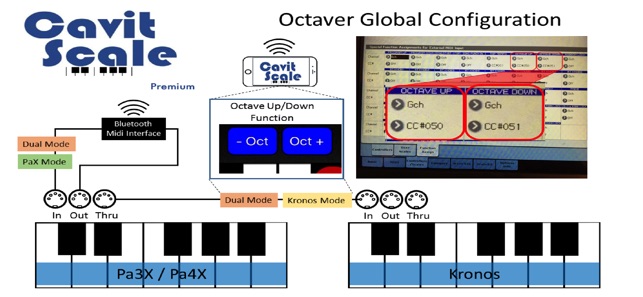 Cavit Scale 4CP(圖4)-速報App