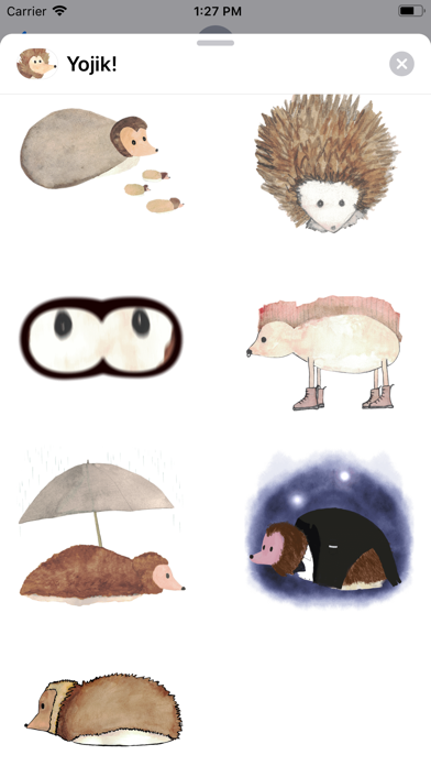 Yojik! Animated Hedgehogs screenshot 3