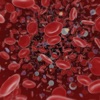 General Haematology