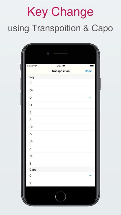 Song Memo screenshot-4