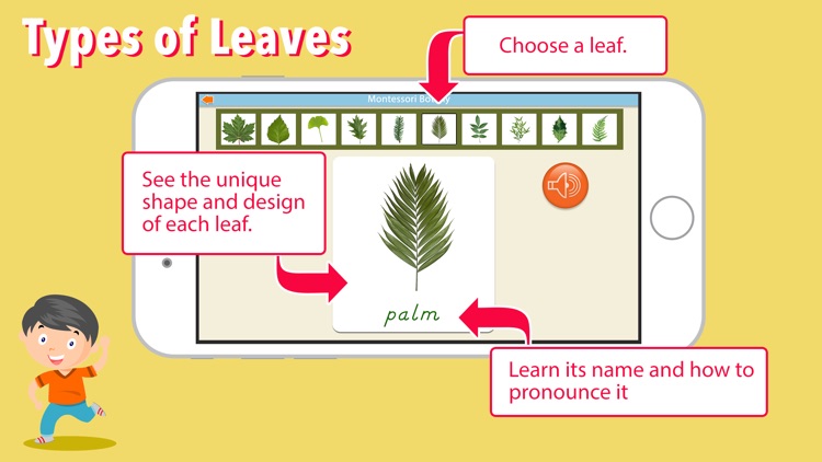 Learn Botany - Parts of Plants screenshot-4