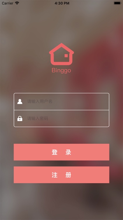 Binggo