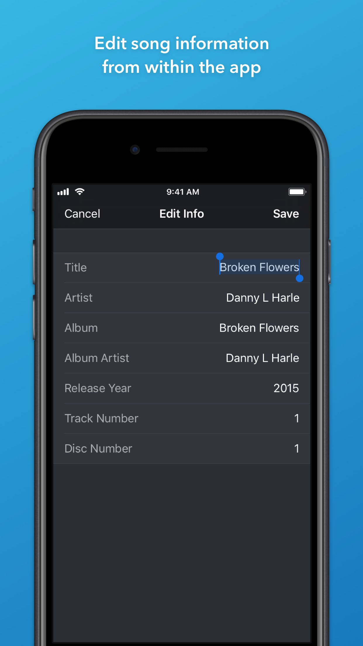 Screenshot do app Doppler Music Player