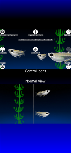 Rice Fish AR/VR(圖4)-速報App