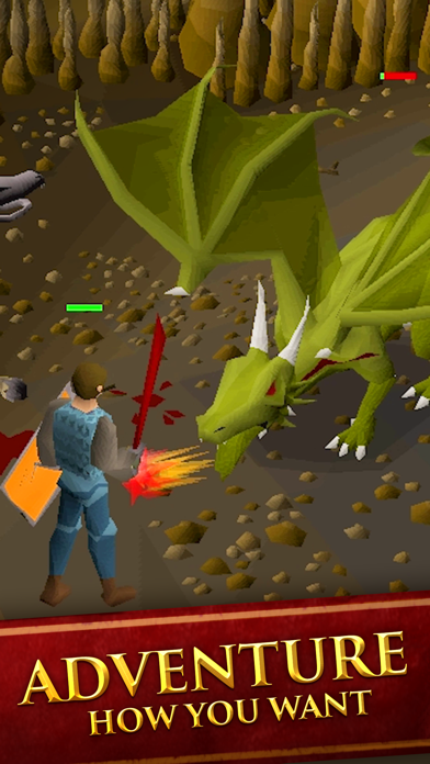 Screenshot from Old School RuneScape