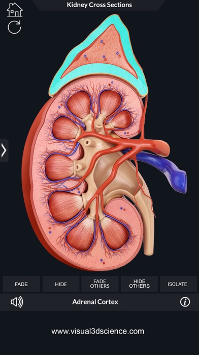 How to cancel & delete My Kidney Anatomy from iphone & ipad 4