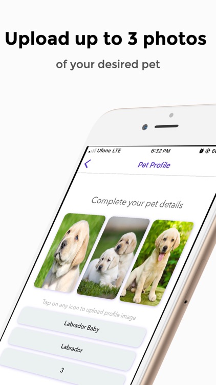 THE PETUP screenshot-4