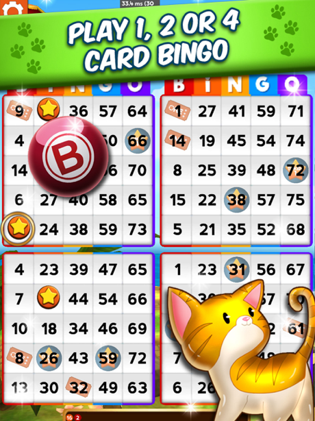 Tips and Tricks for My Bingo Life