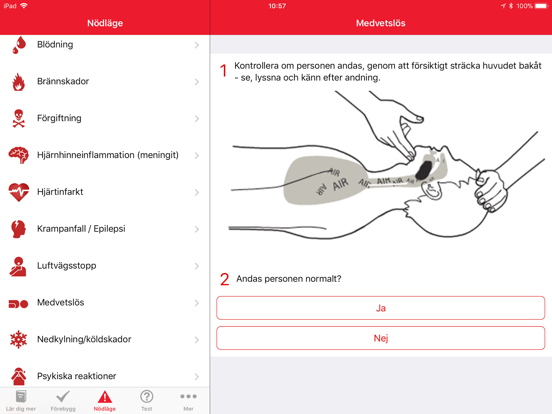 Röda Korset Första hjälpen screenshot 3