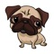 Cute animal face keyboard for iMessage, whatsapp, Facebook Messager, Line, Snapchat, Wechat or any chatting app supporting images