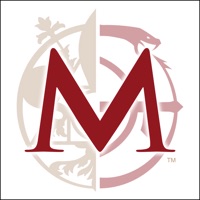 The Medici Game LITE