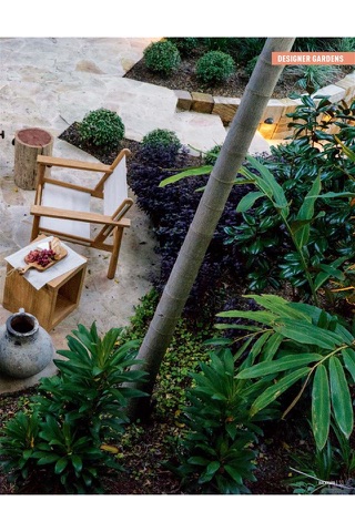 Backyard & Garden Design Ideas - náhled