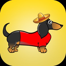 Activities of Dachshund Maze Game Doxie Game