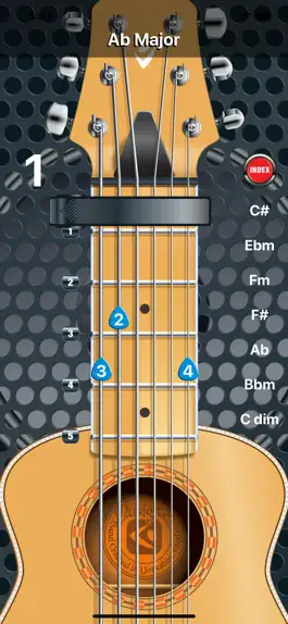 Game screenshot Capo Acoustic S mod apk