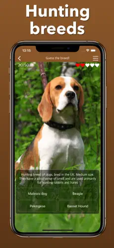 Captura de Pantalla 4 Razas De Perros: Juegos Cuidar iphone