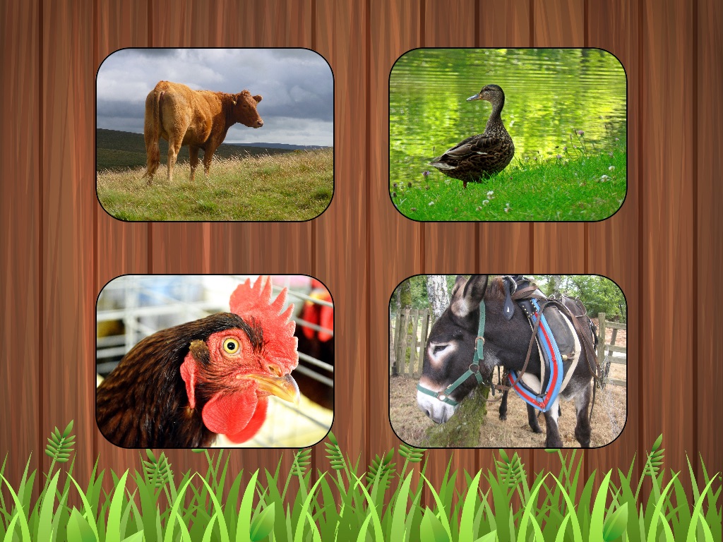 Listen Farm Animals screenshot 3