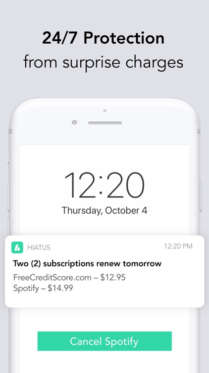 Hiatus: Bill and Money Manager screenshot-4