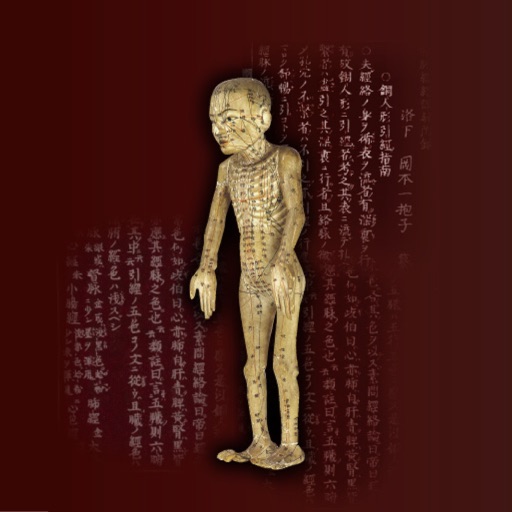 HARIKYU Museum Icon