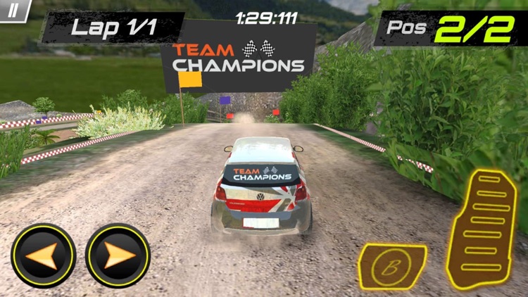 INRC - The Rally Racing Game