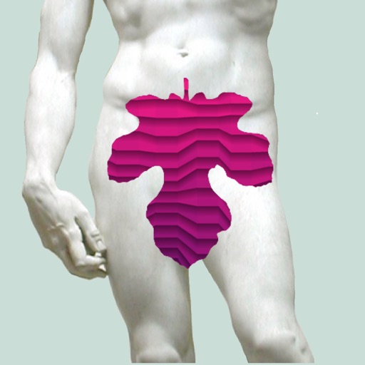 rgbDesigner Fig Leaf icon