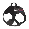 Dogline - quest harness