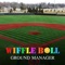 Wiffleball Ground Manager is consisted with below features sets :