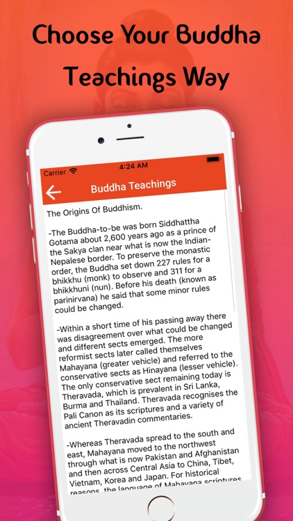 Buddha Teaching & Insight screenshot-3