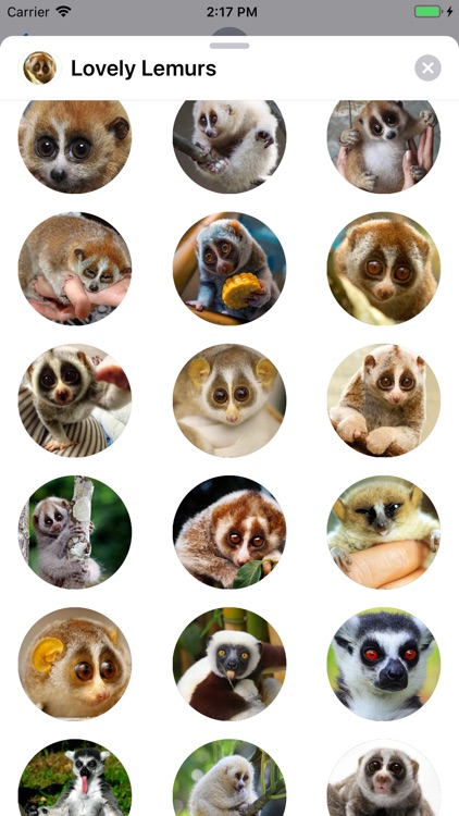 Lovely Lemurs Sticker Pack