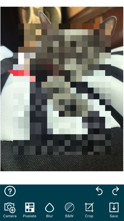 Mosaic&Blur
