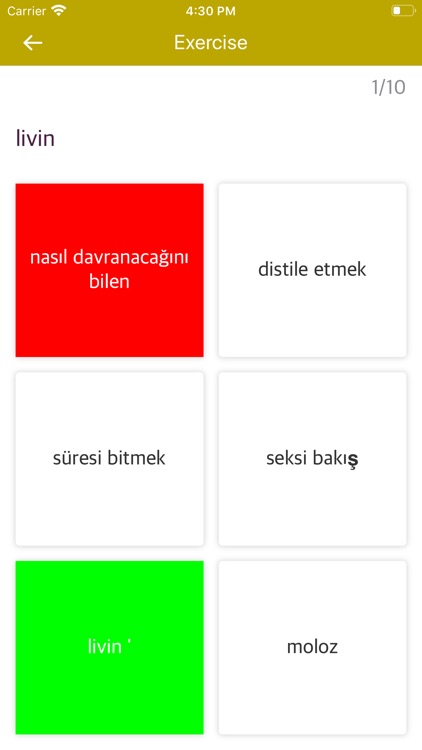 Swedish-Turkish Dictionary