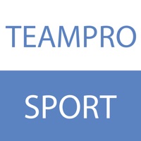 TEAMPRO srl sur PC