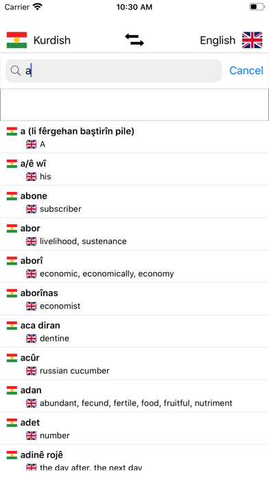 Kurdish-English Dictionary screenshot 4