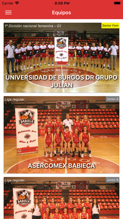 Babieca Baloncesto Burgos screenshot 3