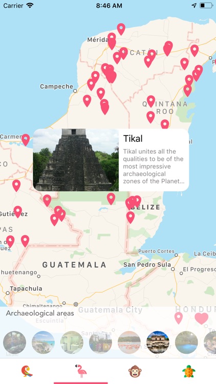 Discover Calakmul Mexico screenshot-4