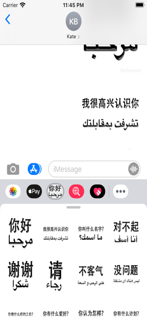 Arabic Chinese Sticker(圖4)-速報App