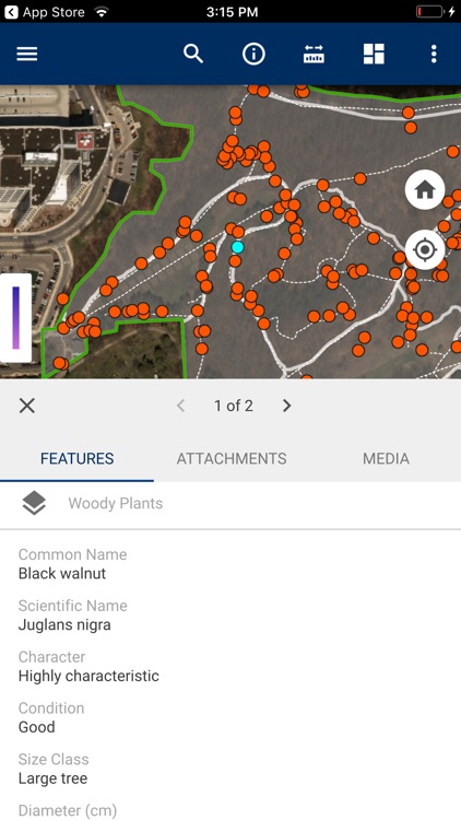 Woody Plants Study Map