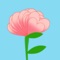 Whimsical Flowers Animated